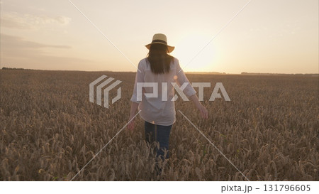 Experience a Serene Sunset Walk amidst the Golden Fields as you embrace the beauty of nature 131796605