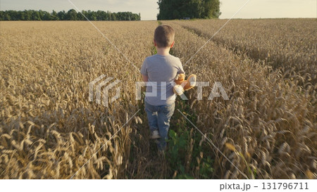 A young child joyfully walking through a golden wheat field, holding a teddy bear tightly A young child joyfully walking through a golden wheat field, holding a teddy bear tightly 131796711
