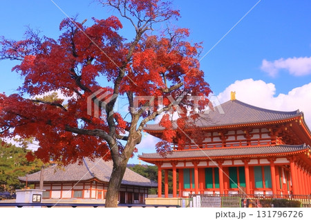 興福寺　中金堂周辺の紅葉（奈良県奈良市）300年振り再建 131796726