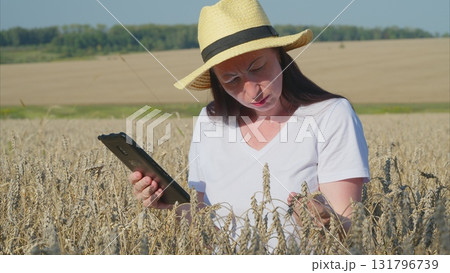 A dedicated farmer is actively analyzing crop data in a wheat field, utilizing a tablet A dedicated farmer is actively analyzing crop data in a wheat field, utilizing a tablet 131796739