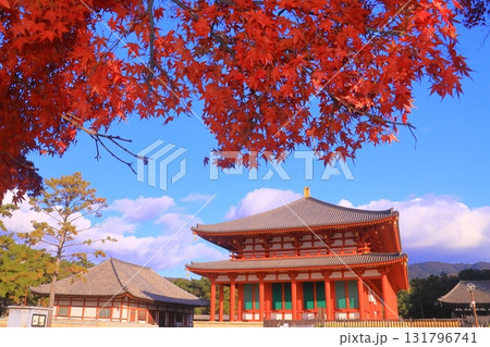 興福寺　中金堂周辺の紅葉（奈良県奈良市）300年振り再建 131796741