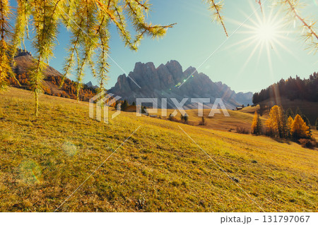 Autumn sun shines on a grassy meadow with wooden huts and mountains Autumn sun shines on a grassy meadow with wooden huts and mountains 131797067