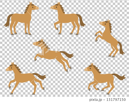 色々なポーズの茶色い馬のイラストセット 131797150