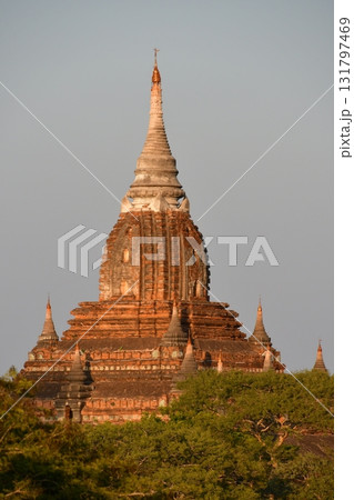 ミャンマー、バガン、夕日を浴びる仏塔群 ミャンマー、バガン、夕日を浴びる仏塔群 131797469