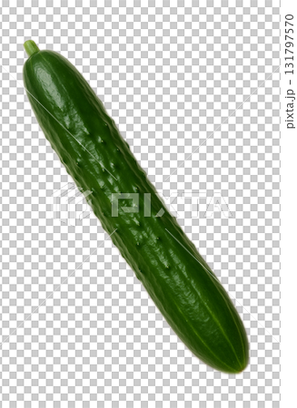 きゅうり キュウリ 胡瓜 きゅうり キュウリ 胡瓜 131797570