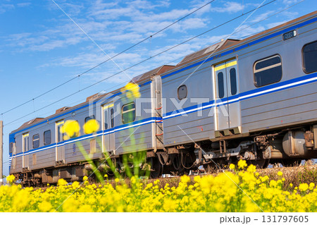 台湾 電車 列車 131797605