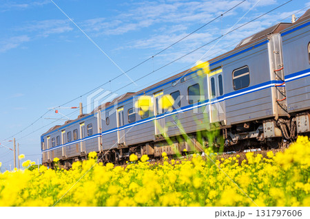 台湾 電車 列車 131797606