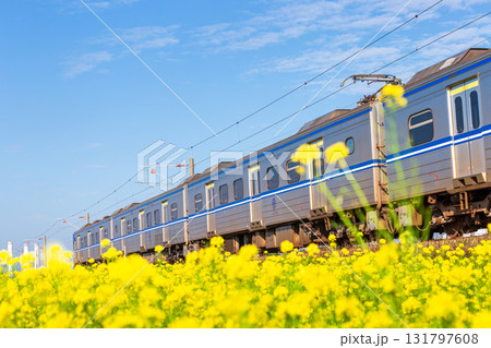 台湾 電車 列車 131797608