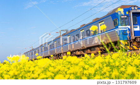 台湾 電車 列車 131797609