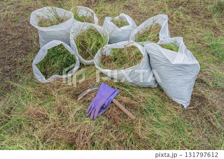 草刈り作業と雑草の袋詰め 131797612