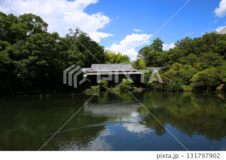 小浜池と楽寿館 131797902