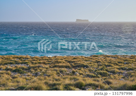 Filfla Island bird sanctuary on horizon with rugged Malta coast and blue sea 131797996
