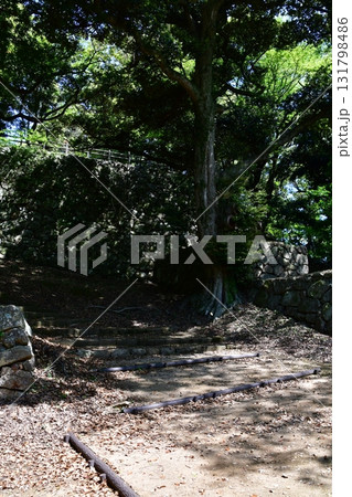 石見浜田城020 二の丸石垣 石見浜田城020 二の丸石垣 131798486