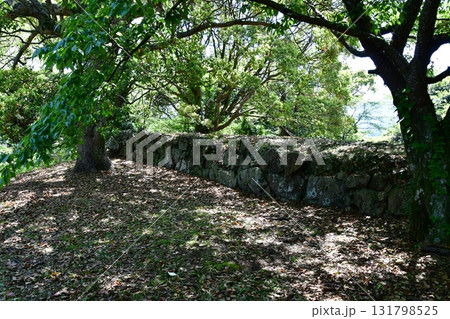 石見浜田城033 本丸石垣 131798525