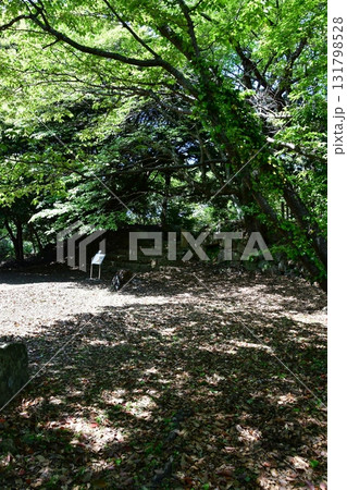 石見浜田城030 本丸石垣 131798528