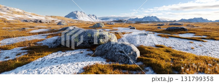 3d high-altitude tundra with sparse snow and rocky moss terrain under a pale blue sky. 3D landscape scenery 131799358