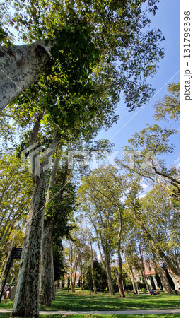Istanbul, Turkey. Gulhane park in Turkey. Gulhane cistern. 131799398