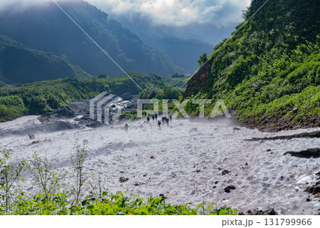 白馬岳の大雪渓08 131799966