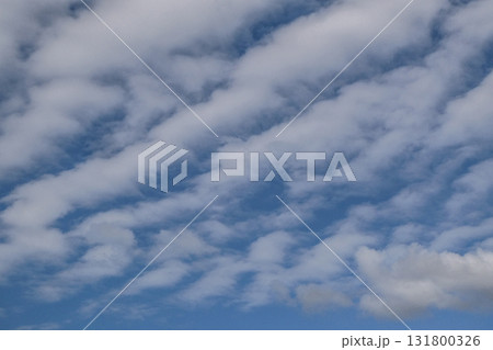 秋の空に浮かぶレア度が高い層積雲の仲間の波状雲 131800326