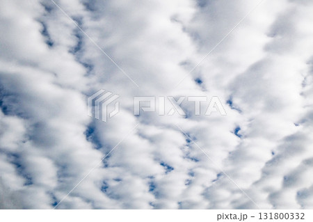秋の空に浮かぶレア度が高い層積雲の仲間の波状雲 秋の空に浮かぶレア度が高い層積雲の仲間の波状雲 131800332