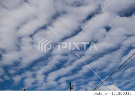 秋の空に浮かぶレア度が高い層積雲の仲間の波状雲 秋の空に浮かぶレア度が高い層積雲の仲間の波状雲 131800333