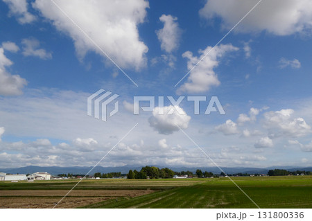 10月田園風景と広がる雲と気持ち良い青い空 湧き上がる並雲 10月田園風景と広がる雲と気持ち良い青い空 湧き上がる並雲 131800336