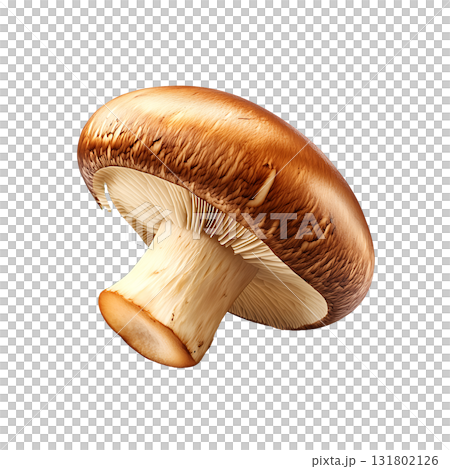 Close up shows a large brown mushroom beside some rosemary on transparent background 131802126