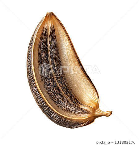 Detailed Half Seed Pod Still Life, on Transparent Background 131802176