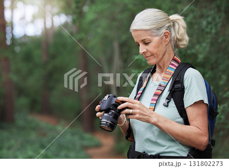 Senior woman, hiking and photography with digital camera on trail in nature park. Female hiker, tourist and travel photographer on trekking adventure, sightseeing journey or explore scenery in forest Senior woman, hiking and photography with digital camera on trail in nature park. Female hiker, tourist and travel photographer on trekking adventure, sightseeing journey or explore scenery in forest 131802273