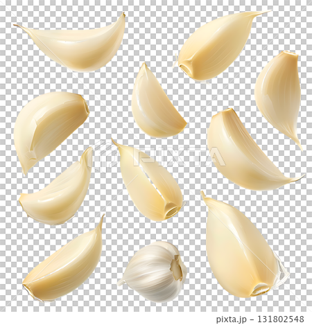 Garlic Cloves on White, Realistic Style Illustration, Isolated, Edible Ingredient 131802548