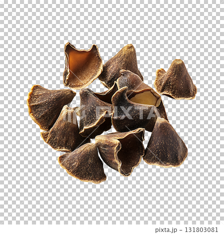 Pile of brown seed pods are scattered on transparent background 131803081