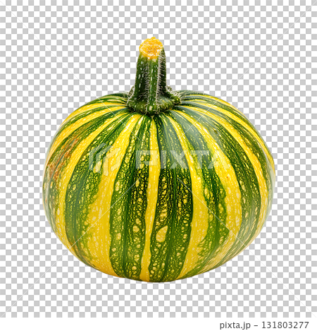 One whole striped kabocha squash shows its beautiful texture and shape on transparent background 131803277