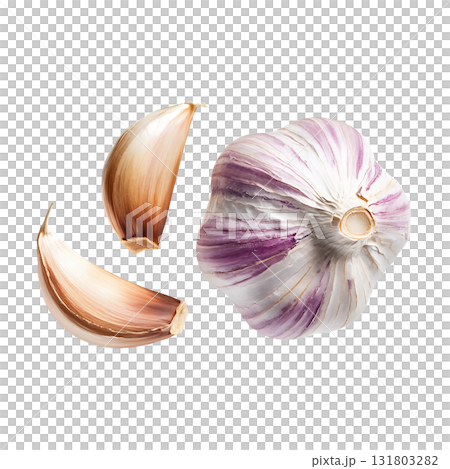 Garlic bulb and two cloves are placed together showing white texture on transparent background Garlic bulb and two cloves are placed together showing white texture on transparent background 131803282