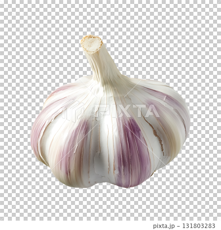 One bulb of whole garlic with prominent purple streaks is displayed on transparent background 131803283