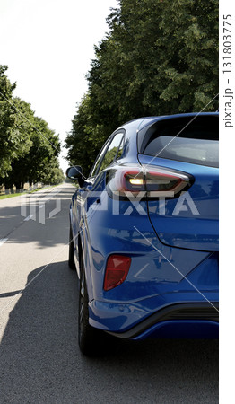 Land Vehicle On Asphalt Country Roadway Between Rows Of Trees Back View Stock Photo Land Vehicle On Asphalt Country Roadway Between Rows Of Trees Back View Stock Photo 131803775
