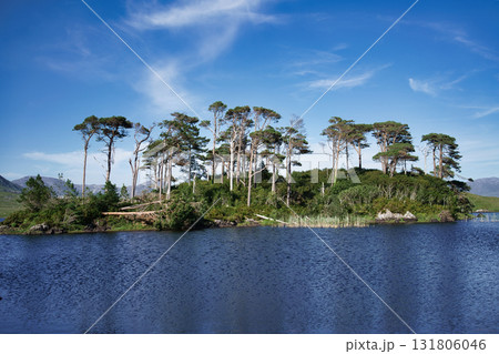 A tranquil scene of a lush island with trees surrounded by calm water in Ireland under a bright blue sky. 131806046