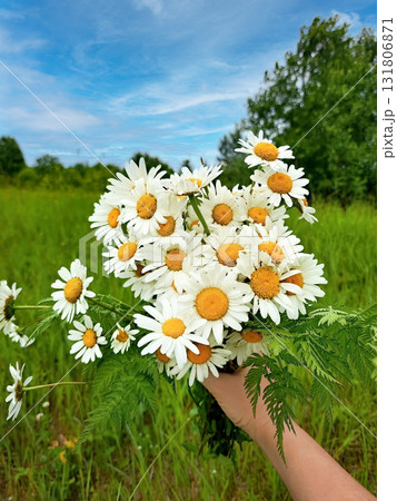 A person is holding a bunch of white flowers 131806871