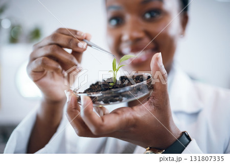 Science laboratory, black woman and plants in Petri dish for agriculture study, sustainability research and food security. Growth soil, eco friendly test and scientist or professional person portrait Science laboratory, black woman and plants in Petri dish for agriculture study, sustainability research and food security. Growth soil, eco friendly test and scientist or professional person portrait 131807335