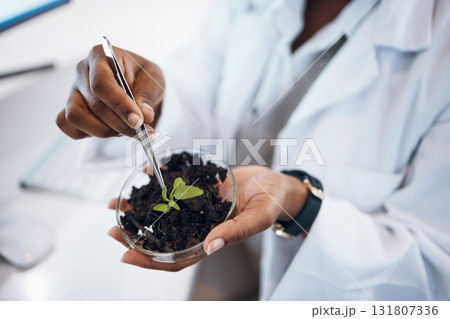 Plants research, science black woman and agriculture growth development, food security and medical study. Fertilizer soil, eco friendly test and scientist or professional person hands for healthcare Plants research, science black woman and agriculture growth development, food security and medical study. Fertilizer soil, eco friendly test and scientist or professional person hands for healthcare 131807336