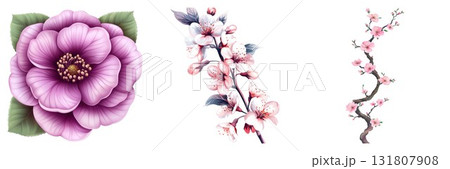 Elegant Floral Set with Blooming Cherry Blossoms and a Delicate Purple Flower Isolated 131807908