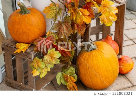 Batch orange fresh pumpkins on the city street. Autumn nature background for Halloween decoration.  131808321