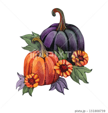 Autumn pumpkins with sunflower flowers, vintage black pumpkin, leaves. Thanksgiving and Halloween design template. Hand drawn watercolor illustration isolated on white background 131808739