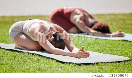 Fitness, woman and yoga on grass for spiritual wellness, healthy exercise or stretching on mat in nature. Women, friends and yogi in warm up stretch class for zen workout, relax or pilates for peace 131809075