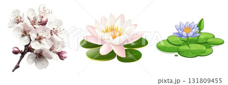 Three beautiful flowers arrangement pink orchid white lotus water lily isolated on white background Three beautiful flowers arrangement pink orchid white lotus water lily isolated on white background 131809455