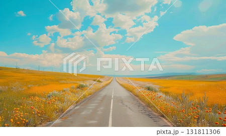 Long asphalt road stretches through a field of blooming yellow wildflowers under a bright blue sky with fluffy clouds 131811306