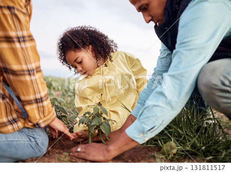 Farming family, parents or child planting in soil agriculture, sustainability learning or future growth planning for food. Man, woman or farmer kid with ground leaf in nature countryside environment Farming family, parents or child planting in soil agriculture, sustainability learning or future growth planning for food. Man, woman or farmer kid with ground leaf in nature countryside environment 131811517