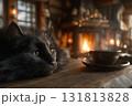 暖炉のそばでくつろぐ黒猫2 131813828