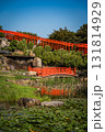 Takayama Inari Shrine in Ushigatacho, Tsugaru, Aomori, Japan 131814929