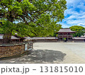 Meiji shrine in Yoyogi park in Shibuya, Tokyo, Japan 131815010