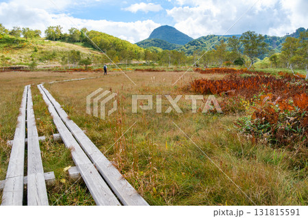 田ノ原湿原のハイキング 131815591